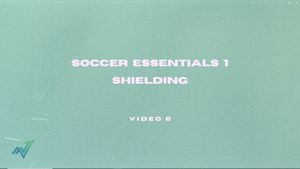 Video 6: Shielding