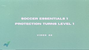 Video 22: Protection Turns