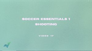 Video 17: Shooting
