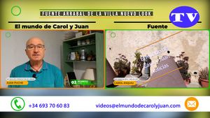 🔵Fuente Arrabal de la Villa nuevo look 02082025