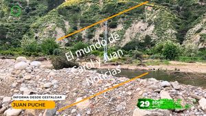 🔴Garceta común en el río Turia 29042025