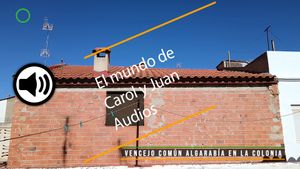 🔉 Vencejo común algarabía en la colonia 22 junio 2024