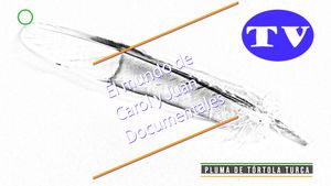 🔵Pluma de tórtola turca 22062025