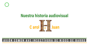 🔴 Avión común occidental ave insectívora de nidos de barro