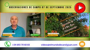 🔴Observaciones de campo 7 de septiembre 07092025
