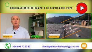 🔴Observaciones de campo 3 de septiembre 2025 03092025