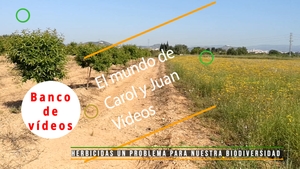 🟣 Herbicidas un problema para nuestra biodiversidad 13 mayo 2022