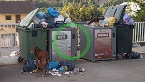 Contaminación por basura en Gestalgar. Así estaban los contenedores en Gestalgar el 17 de agosto