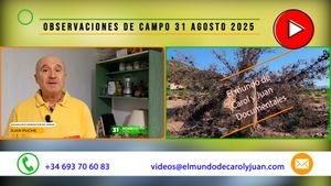 🔴Observaciones de campo 31 agosto 31082025