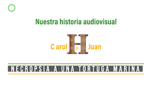 🟢 Necropsia a una tortuga boba