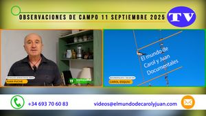 🔵Observaciones de campo 11 de septiembre 11092025