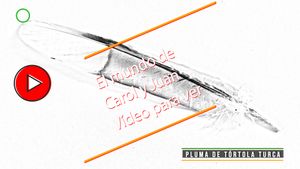 🔴Pluma de tórtola turca 22062025