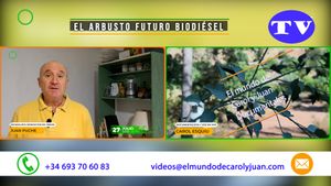 🔵El arbusto futuro biodiésel 27072025