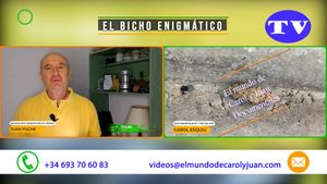 🔵El bicho enigmático 27072025