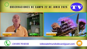 🔵Observaciones de campo 22 de junio 2025 22062025