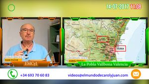 🔴Alcaudón real en el Levante español 14072017