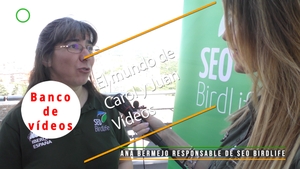 🟣 Srta. Ana Bermejo responsable de SEO BirdLife 8 mayo 2023