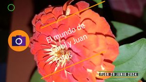 ⚫Flor 29 junio 2024