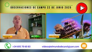 🔴Observaciones de campo 22 de junio 2025 22062025