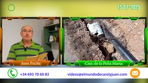 🟢 Residuos domésticos y residuo industrial sin retirar del medio ambiente 15072025