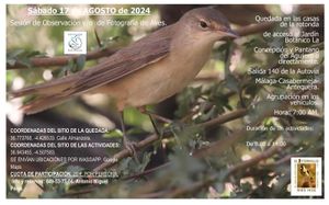 🟢Observación, fotografia de aves 17 agosto 2024