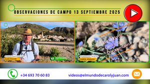 🔴Observaciones de campo 13 septiembre 11092025