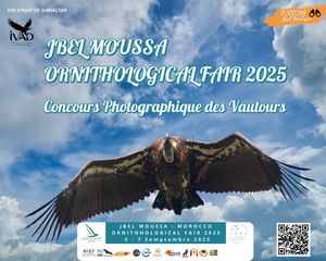 🟢Jbel Moussa 2025