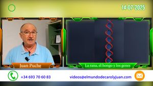 🟢La rana, el hongo y los genes 14072025