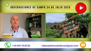 🔴Observaciones de campo 24 de julio 2025 24072025