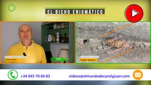 🔴El bicho enigmático 27072025
