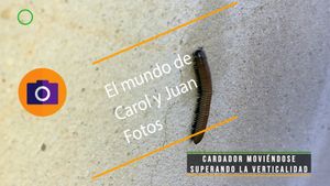 ⚫ Cardador superando la verticalidad 2 diciembre 2023
