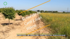 🔴 Herbicidas un problema para nuestra biodiversidad 13 mayo 2022