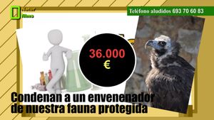🟢Condenan a un envenenador de nuestra fauna protegida 16 enero 2020