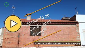 🟣Vencejo común algarabía en la colonia 22 junio 2024