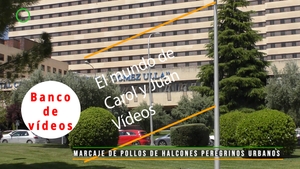 🟣 Hospital Central de Defensa Gómez Ulla de Madrid