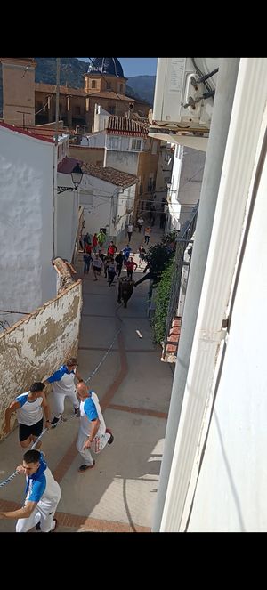 🟢Fiestas de San BLAS en Gestalgar Valencia 