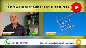 🔴Observaciones de campo 11 septiembre 11092025