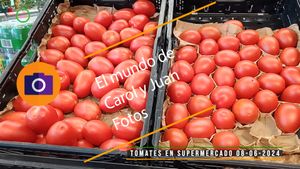 ⚫Tomates en supermercado 08-06-2024