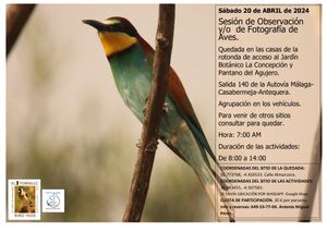 ⚫ Actividades