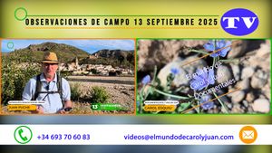 🔵Observaciones de campo 13 septiembre 13092025