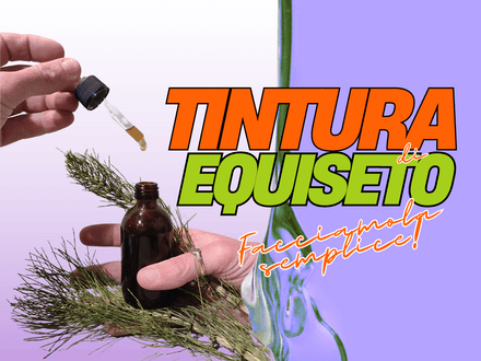Tintura semplice di Equiseto: approfondimento e bibliografia