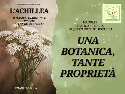 Achillea: botanica, scienza e ricette