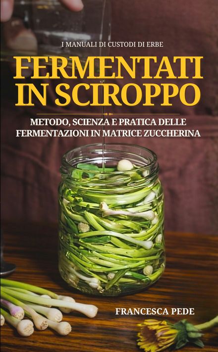 Fermentati in sciroppo: Metodo, scienza e pratica delle fermentazioni in matrice zuccherina
