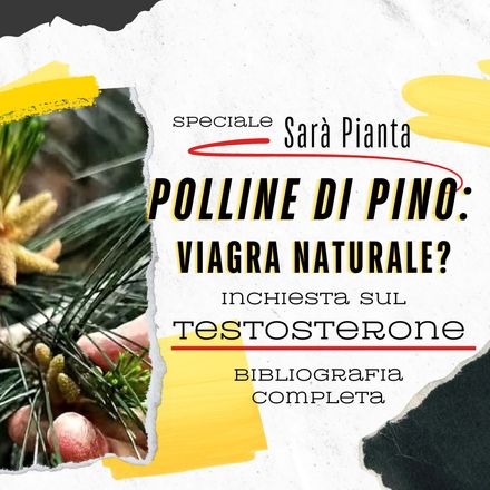 Polline di pino: Viagra naturale? Bibliografia completa