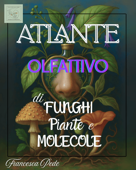 Atlante olfattivo di funghi, piante e molecole