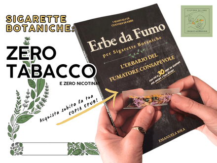 Erbe da fumo