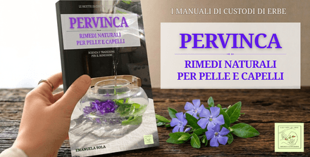 PERVINCA: rimedi naturali per pelle e capelli