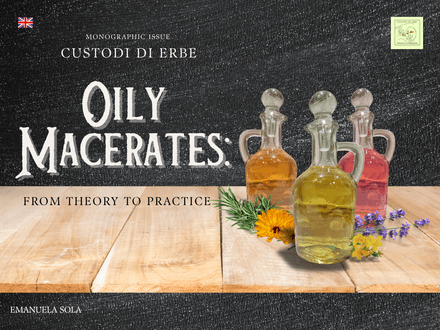 Oily Macerates: From Theory to Practice [Versione in lingua inglese  ] 