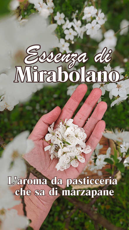 Essenza di fiori di Mirabolano - ricetta dell'aroma per dolci al profumo di primavera