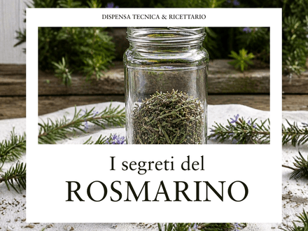Rosmarino: Dispensa Scientifica + Ricettario di Autoproduzione